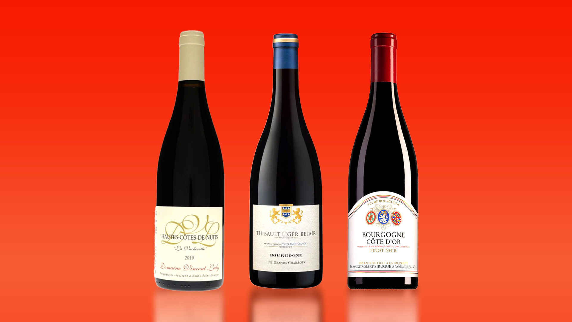 빌라주급을 위협하는 고품질 가성비 부르고뉴 레드 와인 3