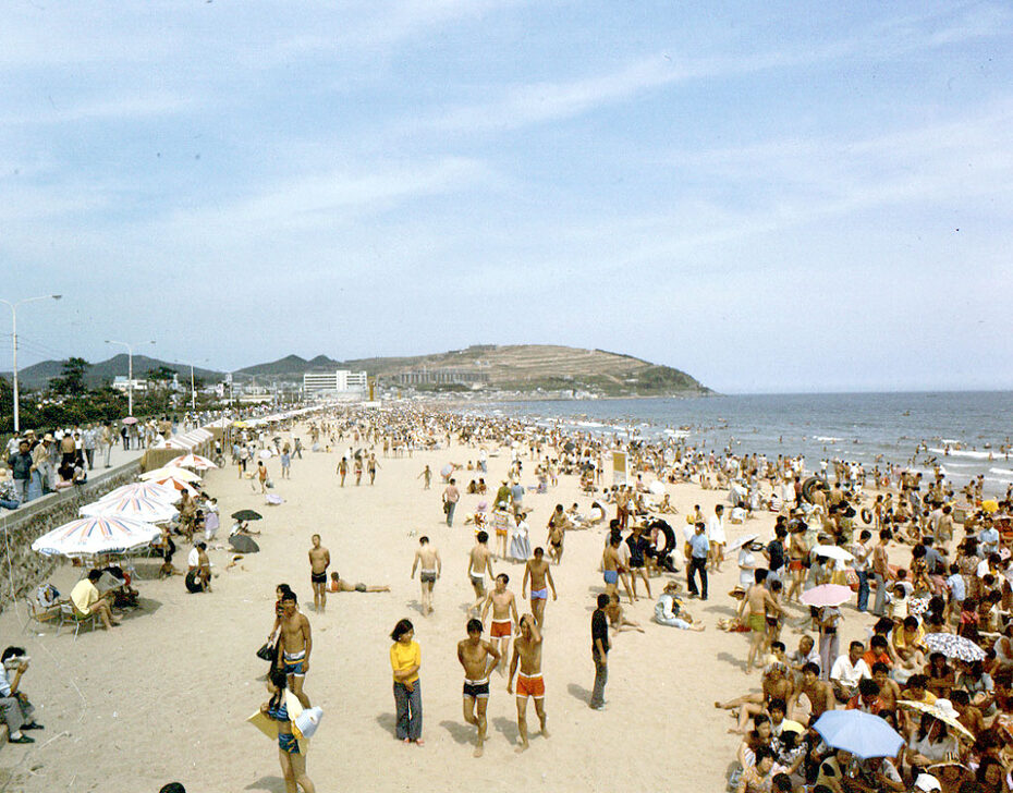 From the East Sea to the South Sea: Enjoying Korea's Beaches According to Your Preference
